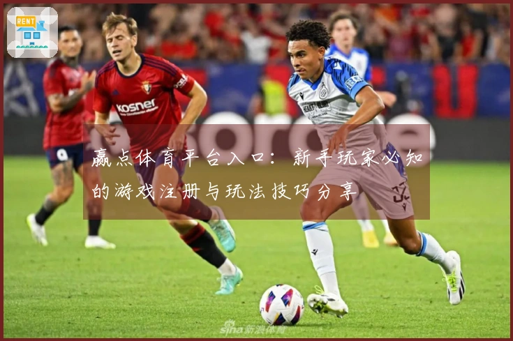 赢点体育平台入口：新手玩家必知的游戏注册与玩法技巧分享