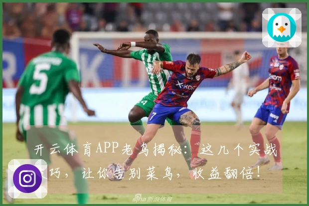 开云体育APP老鸟揭秘：这几个实战技巧，让你告别菜鸟，收益翻倍！