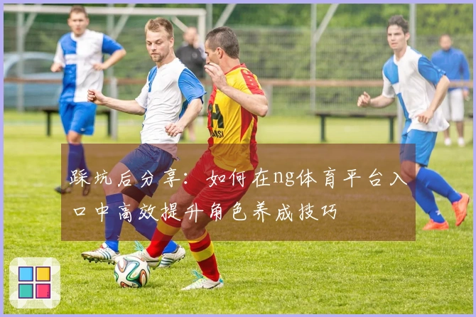 踩坑后分享：如何在ng体育平台入口中高效提升角色养成技巧